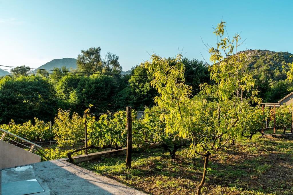 Vila Pavle'S Oasis Virpazar Exteriér fotografie