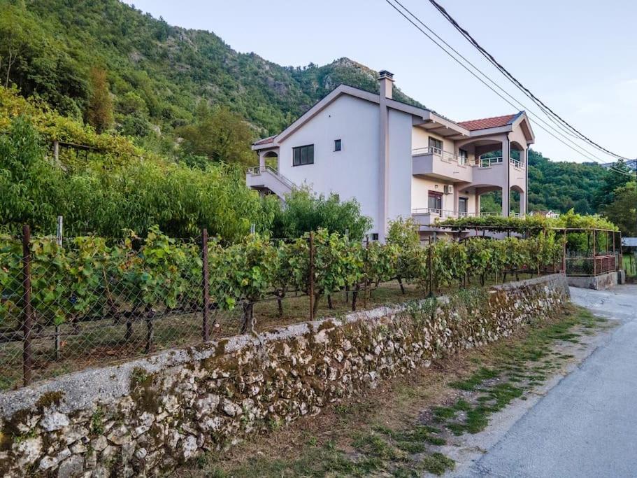 Vila Pavle'S Oasis Virpazar Exteriér fotografie